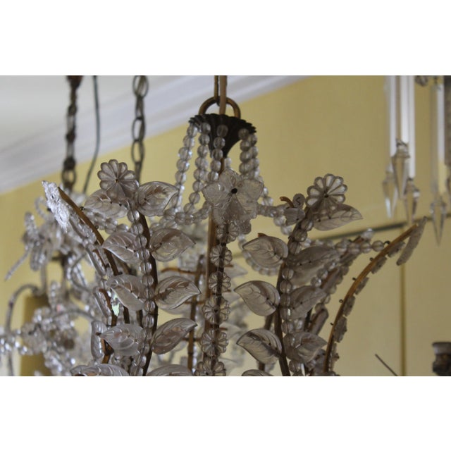 Gold 1950's Mid Century 10 Light Frosted Crystal Flowers & Petals Lantern Chandelier by Palme & Walters "Palwa" For Sale - Image 8 of 12