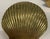 Coastal Andrea by Sadek Seashell Brass Bookends - A Pair For Sale - Image 3 of 6
