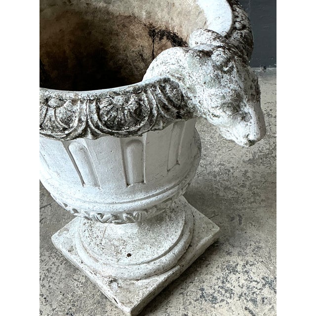 White Vintage Cement Ram's Head Planters - Pair For Sale - Image 8 of 12