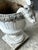 White Vintage Cement Ram's Head Planters - Pair For Sale - Image 8 of 12
