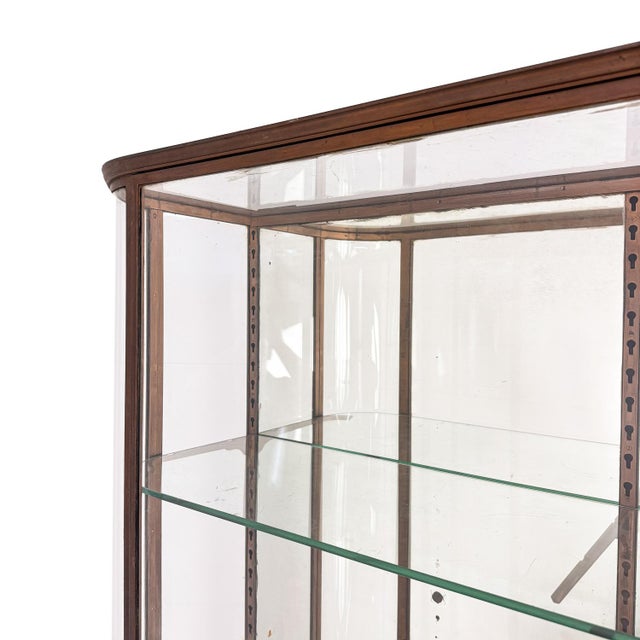 Large Antique Metal Museum Display Cabinet with Curved Glass, 1890s For Sale - Image 15 of 18