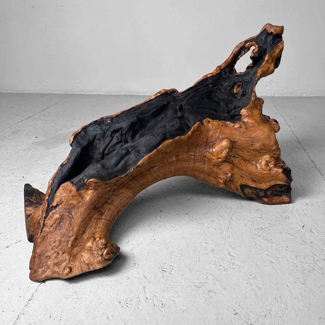 1950s Wood Burl Wood, Japan, 1950s For Sale - Image 5 of 12