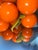 1960s Mid-Century Modern Bright Orange Lucite Grape Cluster" For Sale - Image 4 of 8