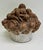 19th Century French Terracotta Fruit Basket Centerpiece Sculpture For Sale - Image 4 of 12