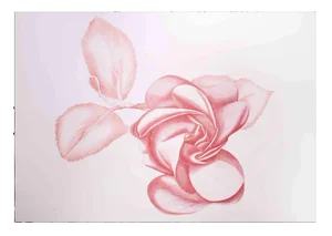 Giacomo Porzano, Red Rose, Original Etching, 1970s