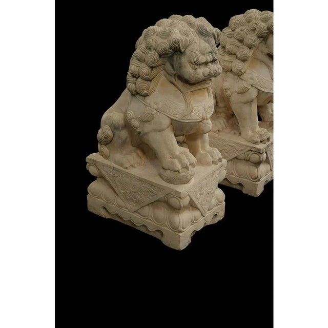 1960s 30 H Large Pair of Vintage Boho Monumental Cast Concrete Foo Dogs For Sale - Image 5 of 6