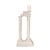 Temple of Portunus I For Sale - Image 9 of 11