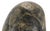 "Penguin" - Steatite Stone Hand Carved Sculpture, St. Lawrence Island Eskimo Art For Sale In Monterey, CA - Image 6 of 10