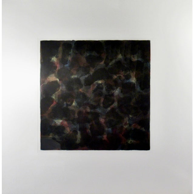 Late 20th Century Sol Lewitt "Color And Black" Large Colors Etching With Aquatint, Framed 1991 Reproduction Print For Sale - Image 5 of 7