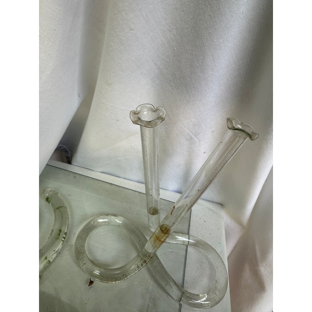 Glass Vintage Propagation Snake Vases – a Pair For Sale - Image 7 of 9