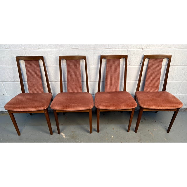 Mid-Century Modern Set of Four Mid-Century Modern Dining Chairs by G Plan Furniture For Sale - Image 3 of 10