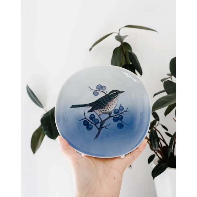 Modern Vintage Royal Copenhagen Decorative Wall Plate Turdus Lliacus (Redwing) Bird For Sale - Image 3 of 8