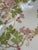 Metal Antique Jean Pouyat Limoges Holly Branch Plate With Heavy Gold For Sale - Image 7 of 10