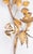 Hollywood Regency Vintage Italian Gilt Tole & White Roses Candle Sconce For Sale - Image 3 of 8