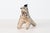 Folk Art Mid-Century Stuffed Zebra Folk Art Toy For Sale - Image 3 of 10