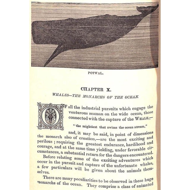 "The Water World" 1886 Van Dervoort, Prof. J. W. For Sale - Image 11 of 12