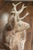 Sculpture Materials American 1950s Concrete Reclining Deer with Antlers and Weathered Appearance For Sale - Image 7 of 9