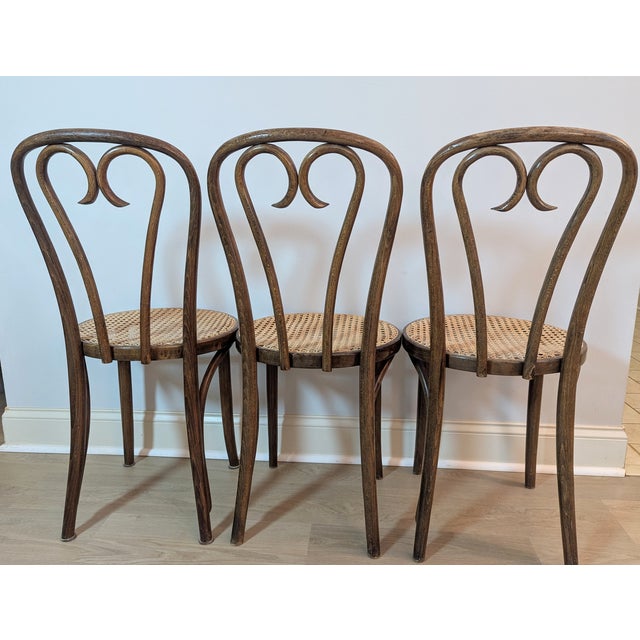 Mid 20th Century 1960s Sweetheart Bentwood & Cane Chairs by ZPM Radomsko for Thonet For Sale - Image 5 of 14