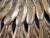 1950s Gold Metal Tole Sunburst Shade for Ceiling Light Fixture, Made in Italy For Sale - Image 14 of 18