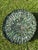Mid-20th Century 20'' Tiffany-Style Leaded Green Slag Glass Lotus Leaf Lamp Shade For Sale - Image 13 of 18