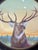 Brown Antique the American Art Works Pre-Prohibition Era Red Stag/Elk Beer Serving Metal Lithograph Tray For Sale - Image 8 of 9