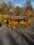 1960s Mid Century Table and 6 Chairs For Sale - Image 4 of 12