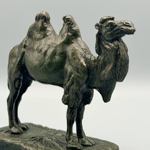 Alfred Barye, Bactrian Camel, Bronze For Sale - Image 5 of 10