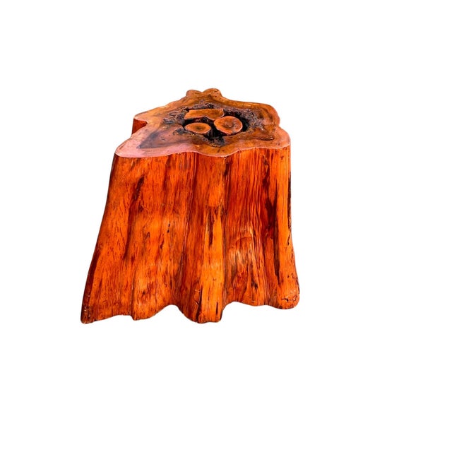 Beautiful Vintage Cypress Live Edge Tree Stump Center Coffee Table For Sale - Image 11 of 15