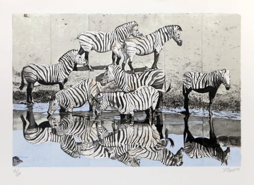 Zebras 2, Fran Bull Screenprint, Signed and Numbered in Pencil