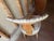 Mid 20th Century Set of 4 Neoclassical Style Dining Chairs For Sale - Image 11 of 17