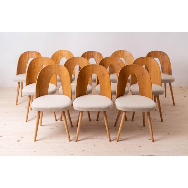 Mid-Century Dining Chairs attributed to A. Suman, 1960s, Set of 12 For Sale - Image 17 of 17