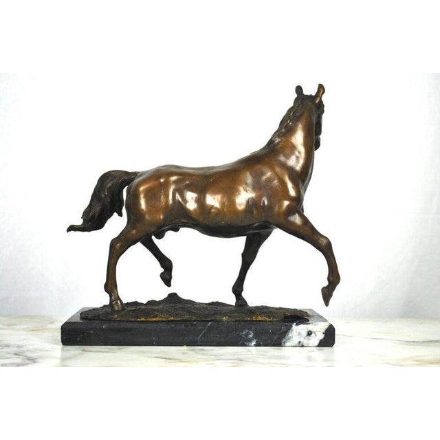 20th Century Bronze Horse on a Marble Base For Sale - Image 3 of 5