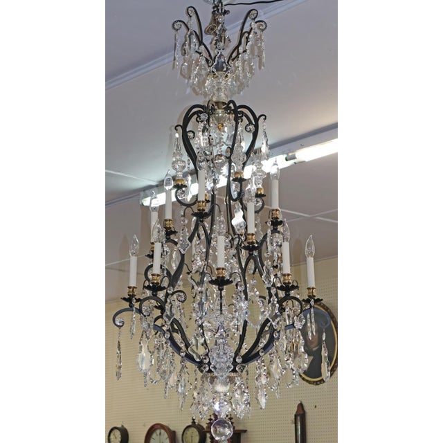 Schonbek Versailles 2782 16 Light Monumental Crystal Chandelier For Sale - Image 11 of 18