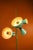 Stilnovo design floor lamp, an original from the 1960s. This lamp consists of a cylindrical brass structure and three...