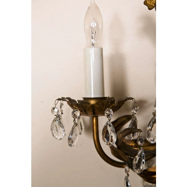 French Gilt-Brass 3-Light Wall Sconces - A Pair For Sale In New York - Image 6 of 7