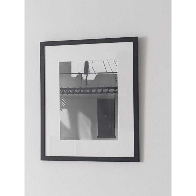 Original b+w Silver Gelatin Fine Art Photograph by Rachel Scheinfeldt, Limited Edition, Artist Signed, Professionally Framed