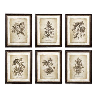 Kenneth Ludwig Chicago Framed Vintage Floral Prints - Set of 6 For Sale