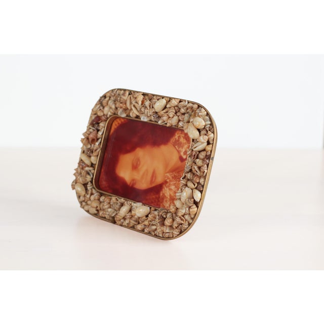 Mid-Century Seashell Photo Frame 7x5.5 For Sale - Image 9 of 12