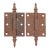 Pair of Antique Victorian 2.5 X 3 In. Cast Iron Door Hinges For Sale