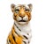 2000 - 2009 Italian Glazed Ceramic Standing Tiger Statue For Sale - Image 5 of 6