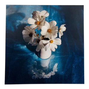 Peter C. Jones 1, White Cosmo, Cocktail, Large Format Photo 24X20 Color Photograph Beach House, 2004