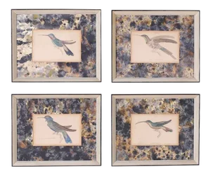 Framed Hand Colored Humming Bird Prints - Set of 4