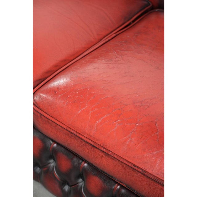 English Chesterfield Sofa in Cow Leather For Sale - Image 12 of 16
