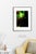 Fine art Giclee prints on Hahnemuhle Photo Rag 308gsm - a 100% cotton, acid-free, mould-made paper. Printed to Fine Art...