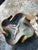 1970s Mid Century Modern Ceramic Ashtray Collection- Set of 3 For Sale - Image 9 of 12