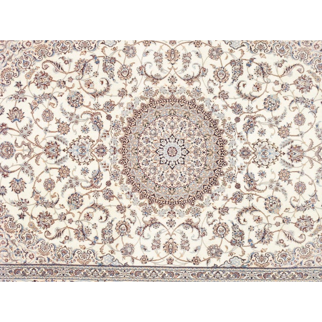 Meet Pasargad Home Azerbaijan Collection. This gorgeous decorative area rug brings you a sophisticated look with a modern...