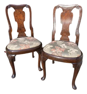 Antique 19th Century Burled Wood Queen Anne Balloon-Seated Side Chairs With Shell Motif, a Pair