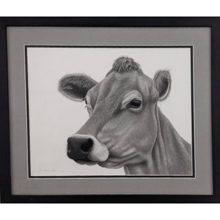Jersey Girl by Tammy Liu-Haller | Graphite on Paper of a cow's head and face For Sale
