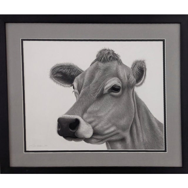 Jersey Girl by Tammy Liu-Haller | Graphite on Paper of a cow's head and face For Sale
