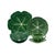 Bordallo Pinheiro Cabbage Complete Dinnerware Set, Green - Service for Four For Sale - Image 13 of 13